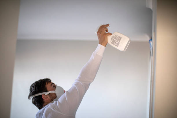 Best Preventive Mold Services in Mission Hills, CA