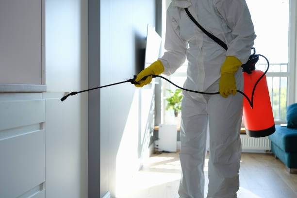 Best Attic Mold Remediation in Mission Hills, CA