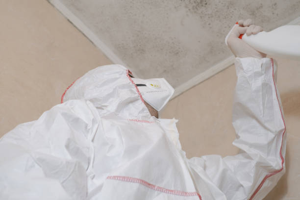 Best Post-Flood Mold Remediation in Mission Hills, CA